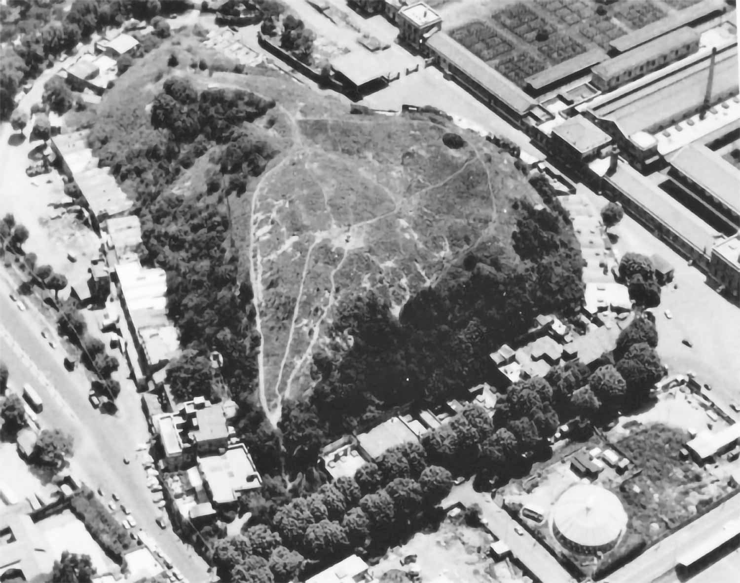 The tendency of the artificial to become natural again. Monte Testaccio is an ancient site made of 50 million crushed olive oil jugs. Source: Archeologica Multimediale Testaccio Aventino.
